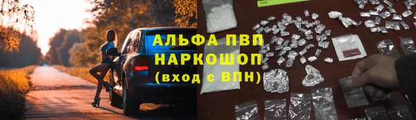 spice Арсеньев
