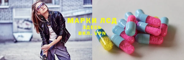 spice Арсеньев